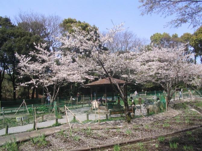 森林公園:徒歩7分(550m)